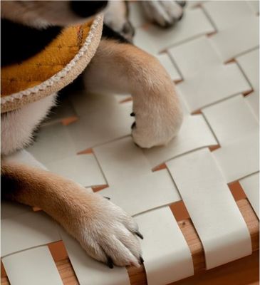 Hôtel Nordic Design Cendre massif de bois de cheval selle en cuir siège tissé chaise à manger empilable pour café et restaurant moderne