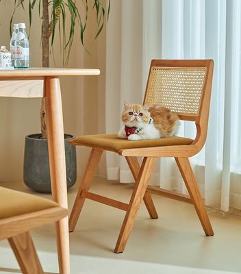 Accueil Meubles finition laquée Chaise à manger en bois massif avec coussinet et dossier en rotin naturel Pour les meubles de design moderne