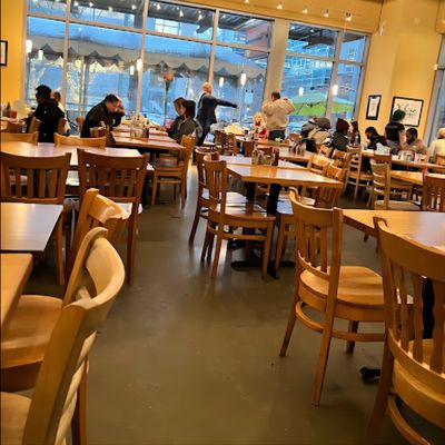 Chaise de restaurant avec cadre en bois massif et design en cuir en PU moderne